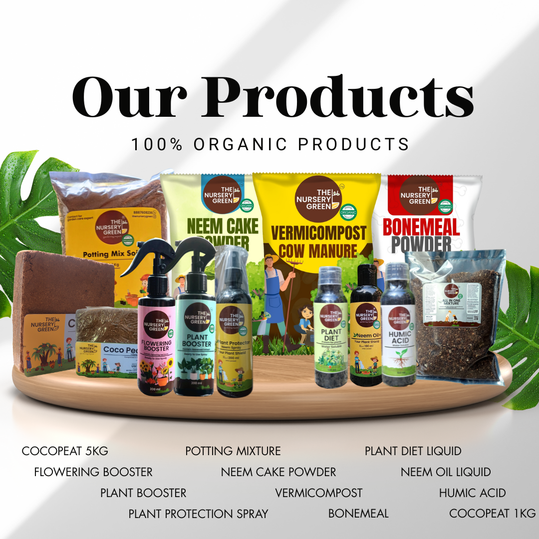 Featured Nursery Green products